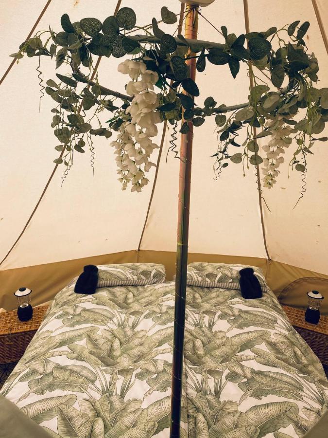 Duneden Belle Glamping Randalstown Extérieur photo